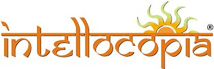 INTELLOCOPIA CONSULTING LLP