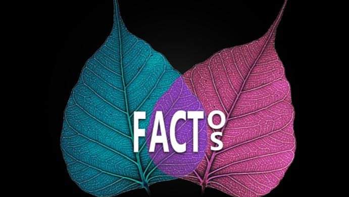 FACTO FACTS CONSULTANCY